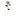 Solar Powered Epiphyllum Flower Stake Light-Next Deal Shop-Blue-Next Deal Shop