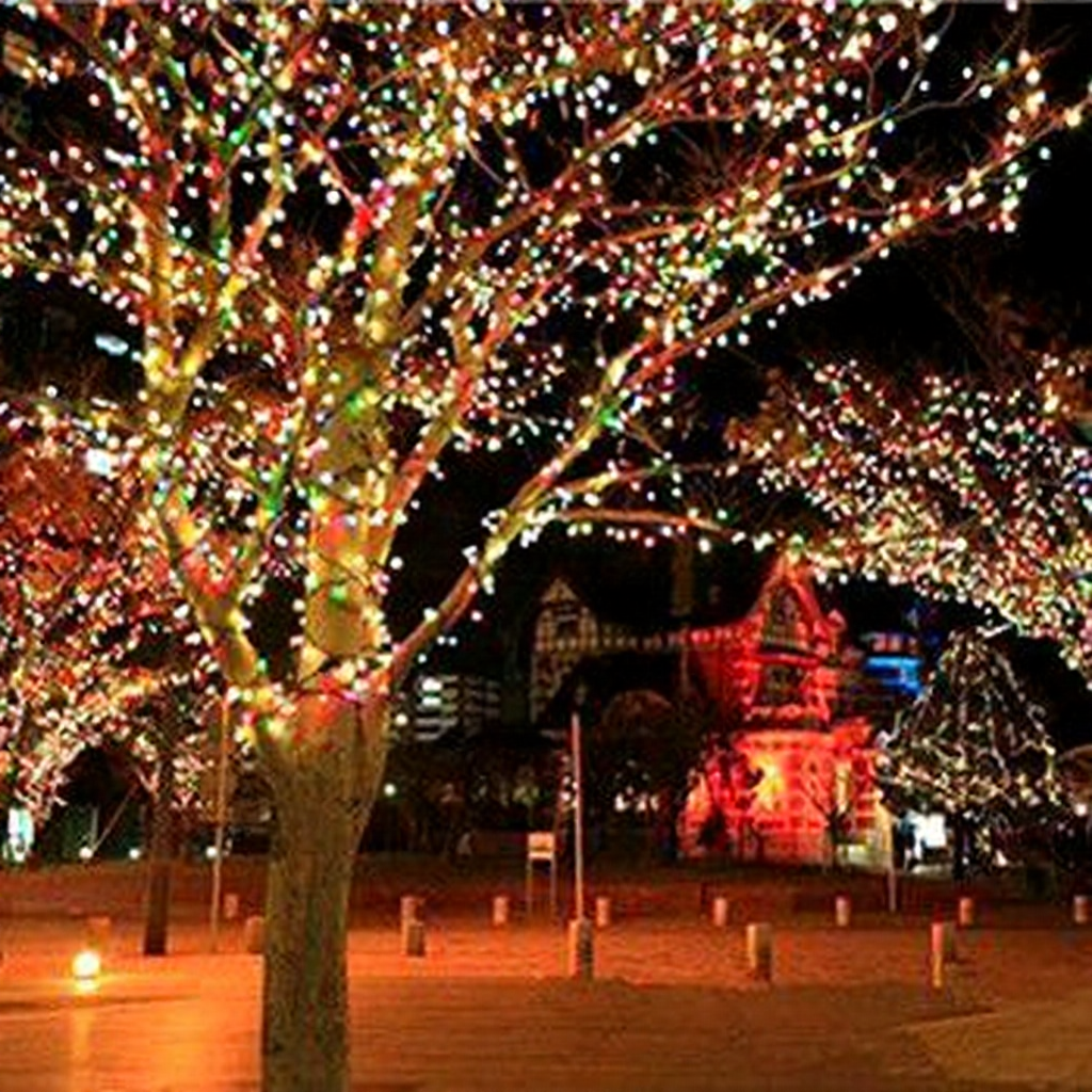 Solar Powered Fairy LED String Lights - Weatherproof Outdoor Holiday Garden Party Decor Lighting