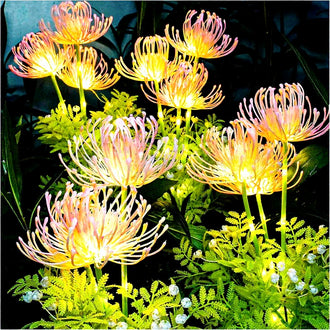 Solar Powered Warm White LED Flower Garden Stake Lights - Weatherproof Lawn & Pathway Lighting