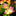 Solar Powered Flower Garden Stake Light-View 3-Next Deal Shop