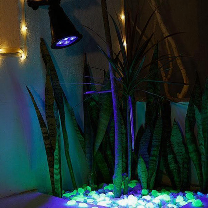 Solar Powered LED Blacklight - Weatherproof Outdoor Yard Garden Lighting