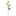 Solar Powered LED Dandelion Stake Light-1 pc-View 5-Next Deal Shop