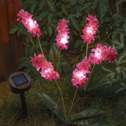 Solar Powered LED Hyacinth 3 Piece Stake Set - Weatherproof Yard Garden Flower Bed Outdoor Decor Lighting