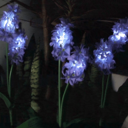 Solar Powered LED Hyacinth 3 Piece Stake Set - Weatherproof Yard Garden Flower Bed Outdoor Decor Lighting