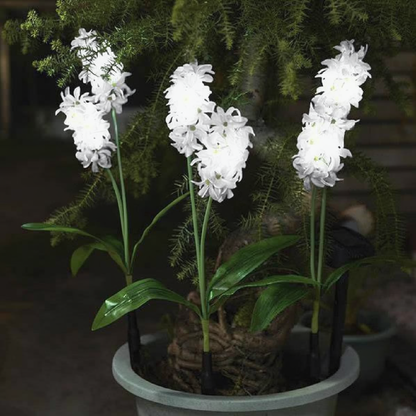 Solar Powered LED Hyacinth 3 Piece Stake Set - Weatherproof Yard Garden Flower Bed Outdoor Decor Lighting