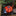 Solar Powered LED Ladybug Garden Light-Next Deal Shop-Red-Next Deal Shop