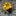 Solar Powered LED Ladybug Garden Light-Next Deal Shop-Yellow-Next Deal Shop