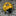 Solar Powered LED Ladybug Garden Light-Yellow-View 7-Next Deal Shop