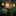 Solar Powered Reading Hedgehog Garden Stake Light-Next Deal Shop-Next Deal Shop