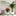 Stackable Monstera Plant Support Stake ‑ 10‑Pack, Planter & Lawn Gardening