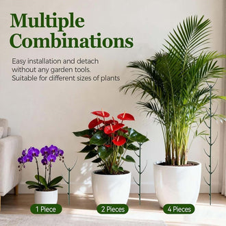 Stackable Monstera Plant Support Stake ‑ 10‑Pack, Planter & Lawn Gardening
