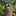Funny Tree Face Sculpture Set