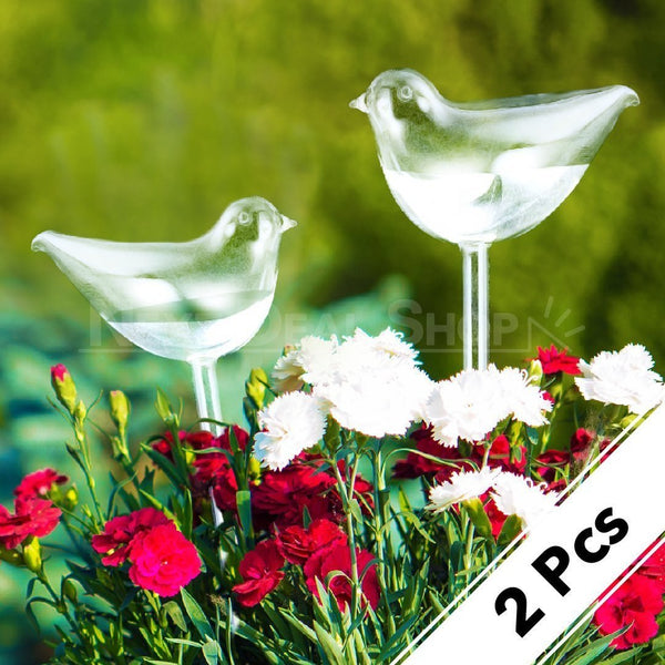 2 Pcs SelfWatering Plant Glass Bulbs