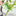 2 Pcs Vegetable and Herb Stripper-View 1-Next Deal Shop