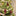 3 Pcs - Large Holiday Candy Hanging Ornament Set-Next Deal Shop-Next Deal Shop