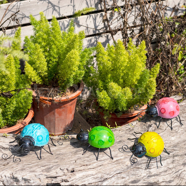 3D Metal Beetle Wall Decor Next Deal Shop