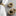 4 Pack - Jingle Bell Festive Napkin Set-Gold and Silver-View 1-Next Deal Shop