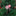 4 Pcs - Candy Cane Lollipop Hanging Ornament Set-Next Deal Shop-Next Deal Shop