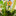 4 Pcs Happy Farm Series Metal Garden Stake Set-Next Deal Shop-Next Deal Shop