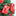 5 Pcs - First Class Letter to Santa Envelope Decoration-Next Deal Shop-Next Deal Shop