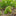 Adorable Moss Puppy Butt Garden Decor-Next Deal Shop-Next Deal Shop