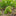Adorable Moss Puppy Butt Garden Decor-View 5-Next Deal Shop