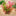 Aquarium Landscape Water Plant Decoration-Next Deal Shop-Next Deal Shop