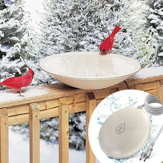Bird Bath Heater with Built in Thermostat