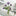 Brooch - Floral Collection-Next Deal Shop-Violet Geranium-Next Deal Shop