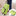 Collapsible Shopping Bag with Wheels-View 1-Next Deal Shop