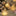 Dazzling Iridescent Seashell LED String Light-View 4-Next Deal Shop