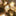 Dazzling Iridescent Seashell LED String Light-View 7-Next Deal Shop
