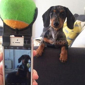 Dog Selfie Stick - Take Selfie With Your Dog!