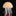 Fluorescent Jellyfish Aquarium Decor-Next Deal Shop-Next Deal Shop