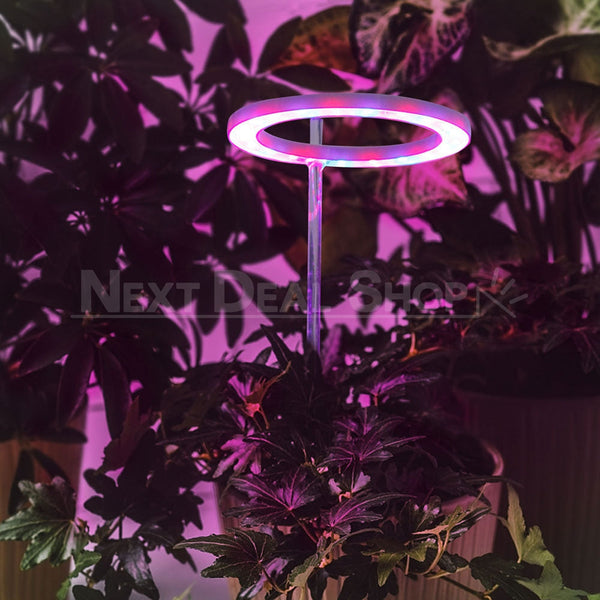 halo grow lights for indoor plants Halo Grow Lights for Indoor Plants (USB Powered) – nextdealshop.com