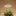 Halo Grow Lights for Indoor Plants (USB Powered)-Warm white-View 3-Next Deal Shop