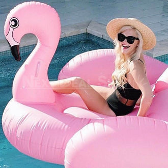 Inflatable Flamingo Float