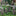 Knight Gnomes Guard Garden Statues-Swordsman With Lion Heraldry Shield-View 4-Next Deal Shop