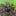 Knight Gnomes Guard Garden Statues-Swordsman With Lion Heraldry Shield-View 7-Next Deal Shop