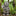 Knight Gnomes Guard Garden Statues-Swordsman With Lion Heraldry Shield-View 8-Next Deal Shop
