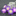 LED Daisy Tea Lights-Purple-View 1-Next Deal Shop