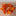 LED Maple Leaf Garland Light-Next Deal Shop-Next Deal Shop