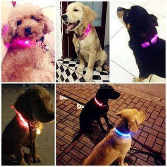 LED Nylon Plain Pet Collar for Small Pets