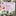 Santa Claus Driver's Licence-View 7-Next Deal Shop