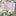Santa Claus Driver's Licence-View 8-Next Deal Shop