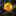 Solar Powered Chrysanthemum Flower Stake Light-Next Deal Shop-Next Deal Shop