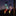 Solar-Powered Dangling Star Lights-View 2-Next Deal Shop