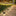 Solar Powered Decorative Ground Light-Next Deal Shop-Next Deal Shop