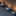 Solar Powered Flower Pattern Pathway Lights-Next Deal Shop-Next Deal Shop