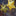 Solar-Powered LED Metal Stars String Light-Next Deal Shop-Next Deal Shop